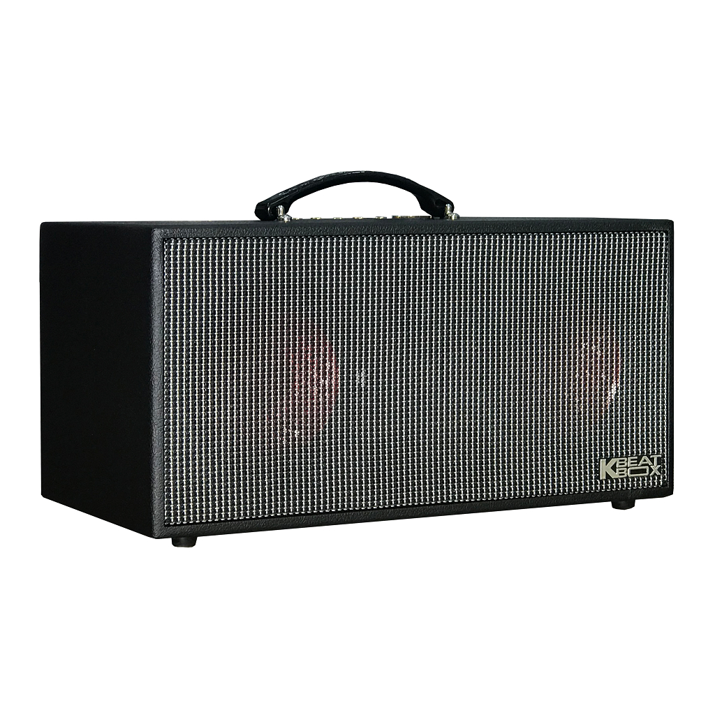 Dàn âm thanh di động xách tay ACNOS KSNET450