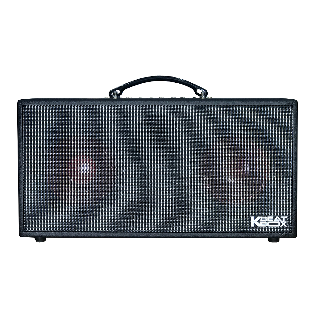 Dàn âm thanh di động xách tay ACNOS KSNET450