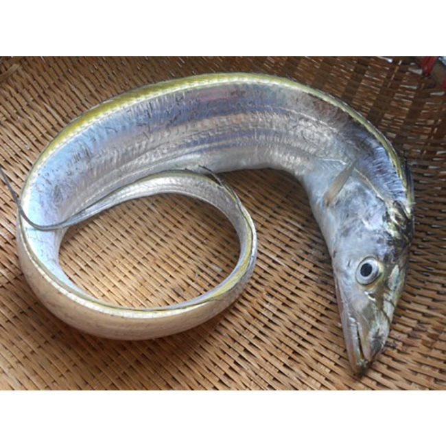 Khô cá, khô cá hố nhà làm, cá hố khô 2 nắng nguyên con đặc sản miền trung thơm ngon