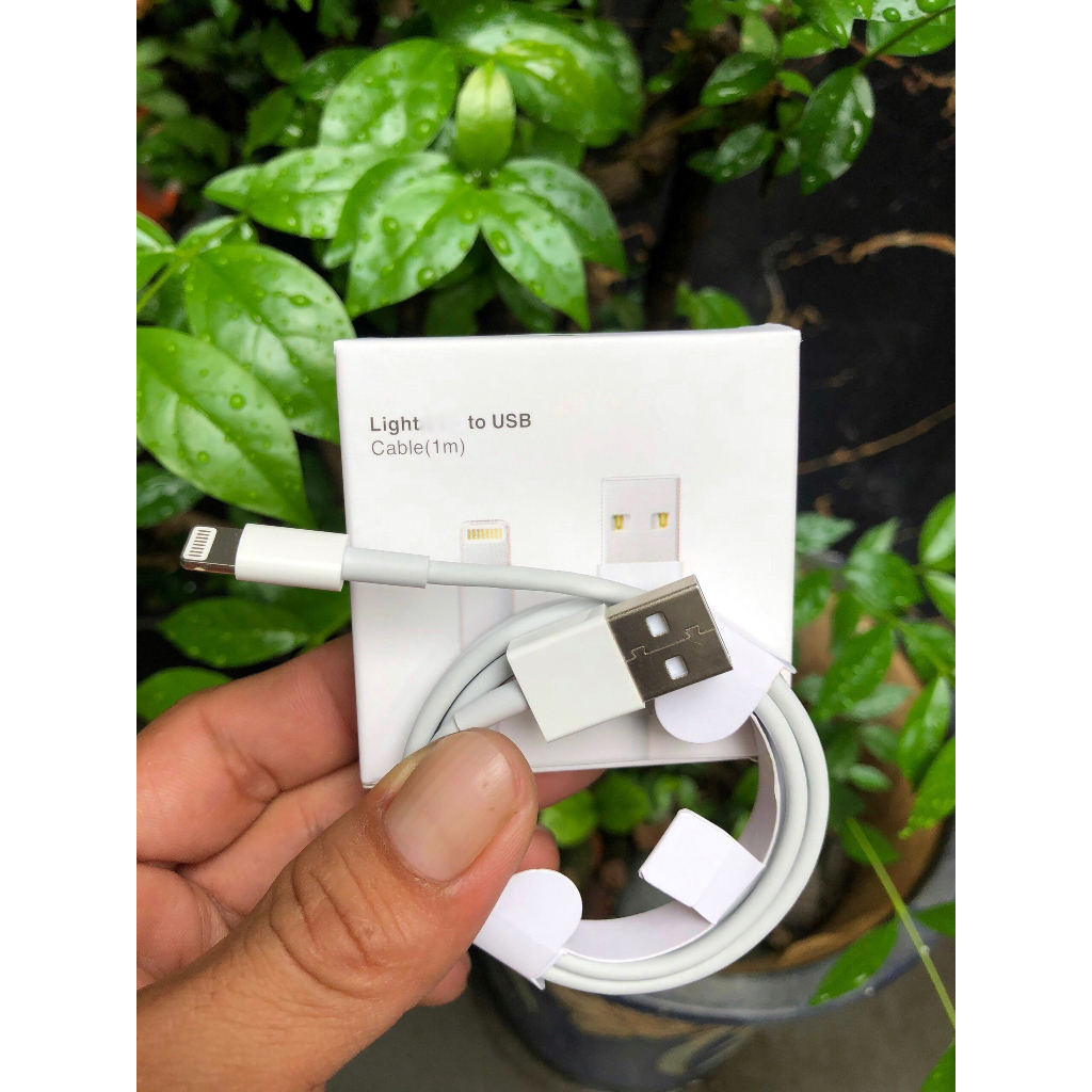 DÂY CÁP SẠC 6 CHIP USB-LIGHT (FOXC) FULL BOX