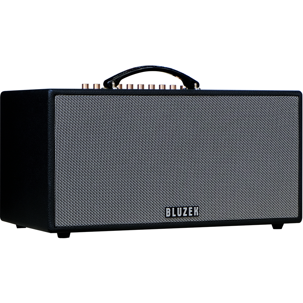 Dàn âm thanh di động xách tay BLUZEK BZ447