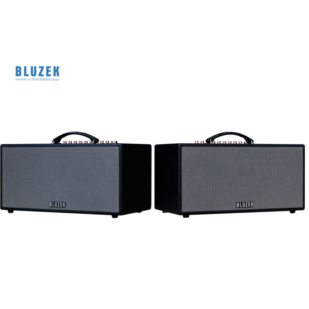 Dàn âm thanh di động xách tay BLUZEK BZ447