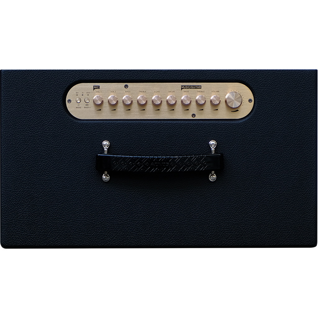 Dàn âm thanh di động xách tay BLUZEK BZ450PLUS