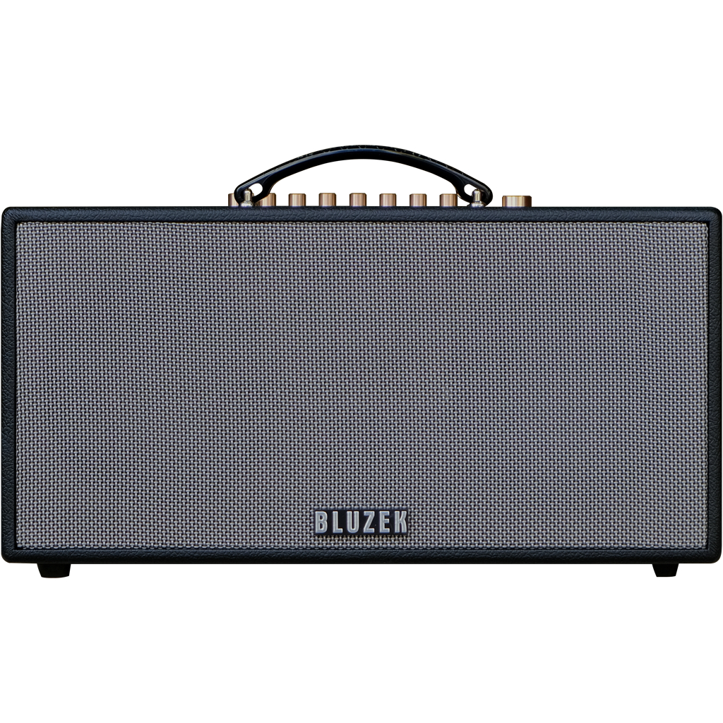 Dàn âm thanh di động xách tay BLUZEK BZ450PLUS