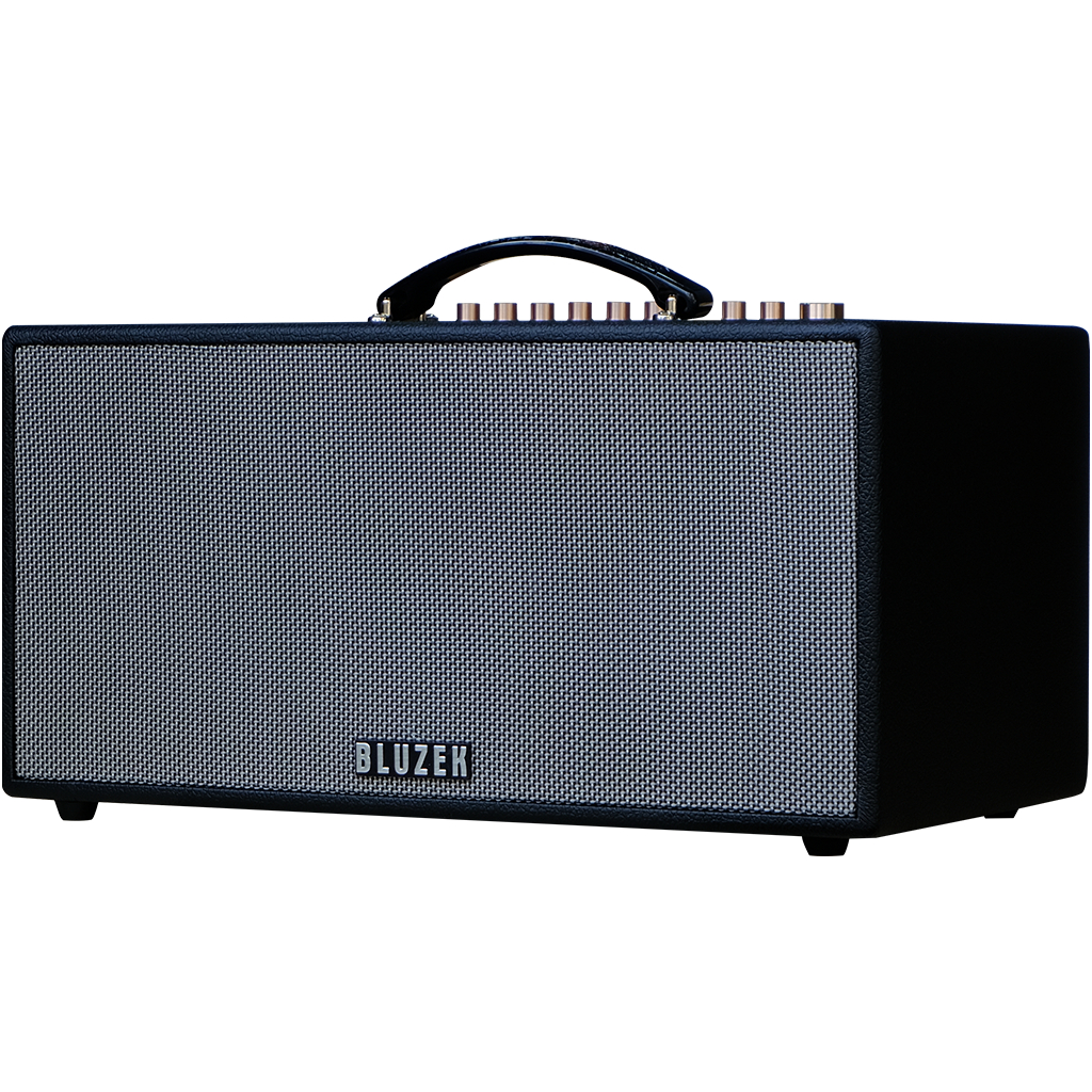 Dàn âm thanh di động xách tay BLUZEK BZ450PLUS
