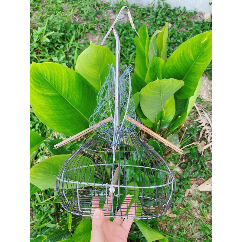 LỒNG BẨY KHUYÊN CÁN INOX CẢI TIẾN