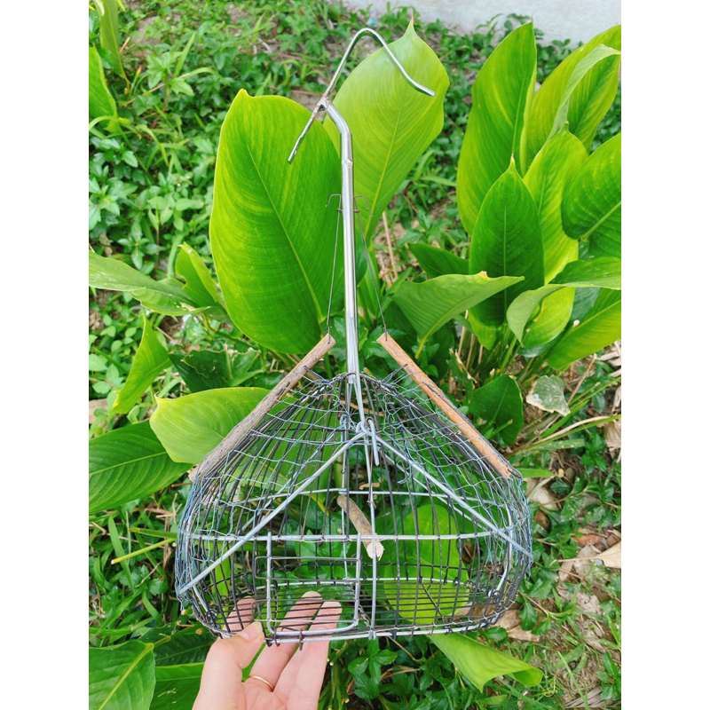 LỒNG BẨY KHUYÊN CÁN INOX CẢI TIẾN