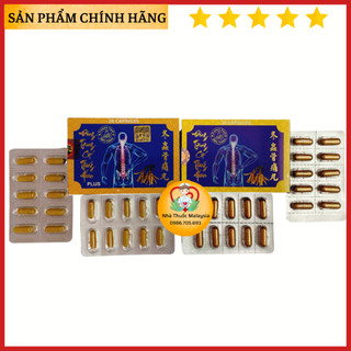 Đông trùng cốt thống hoàn hộp 20v
