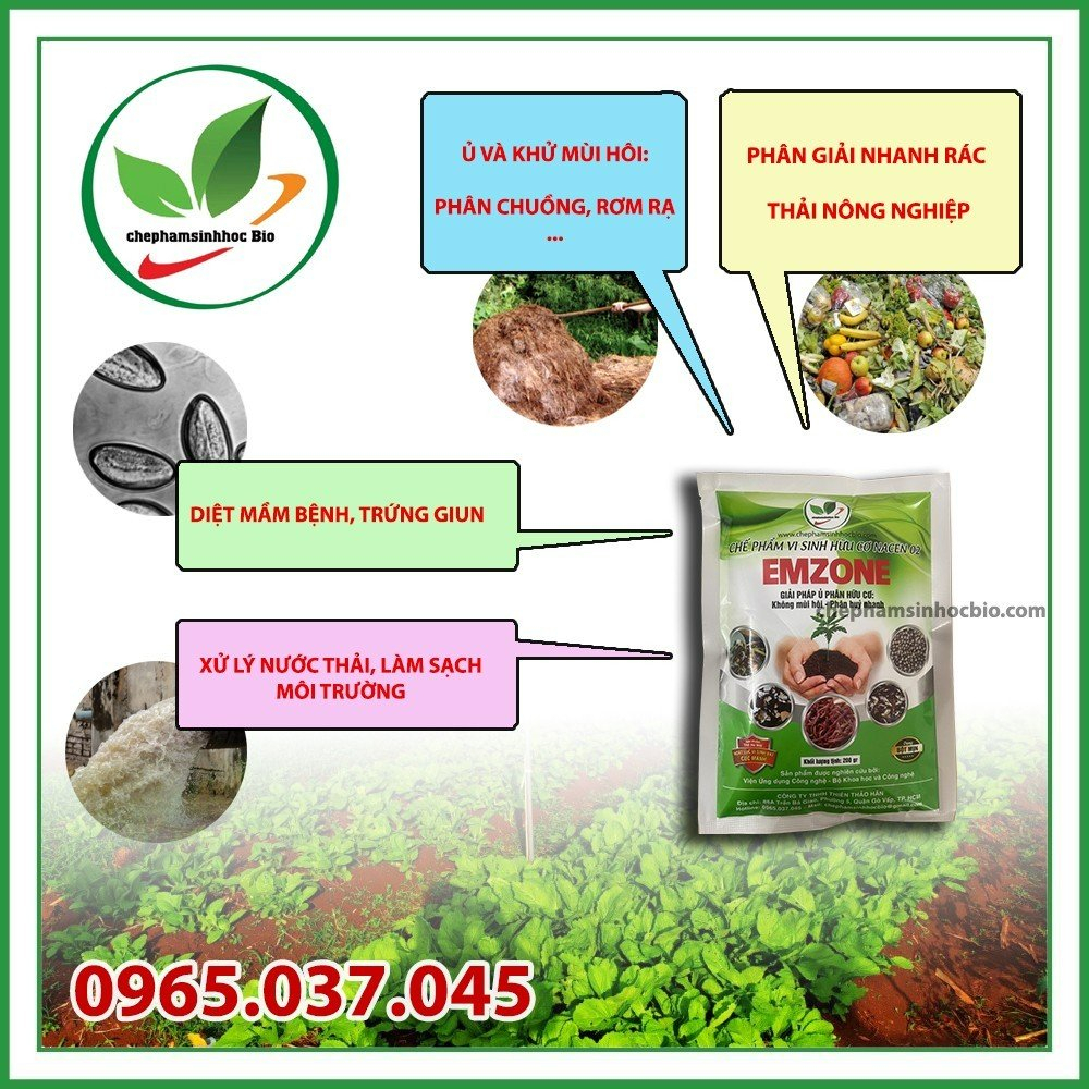 Combo 5 gói men vi sinh Emzone. Khử mùi hôi phân cá, ủ đậu tương và rác thải sinh hoạt. Gói 200Gr