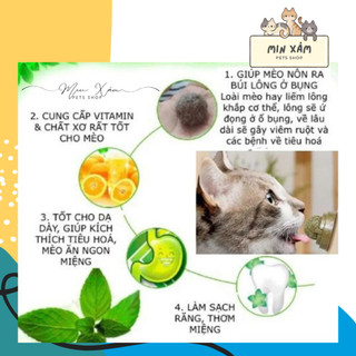 CATNIP - CỎ MÈO KHÔ DẠNG TUÝP (10GR)