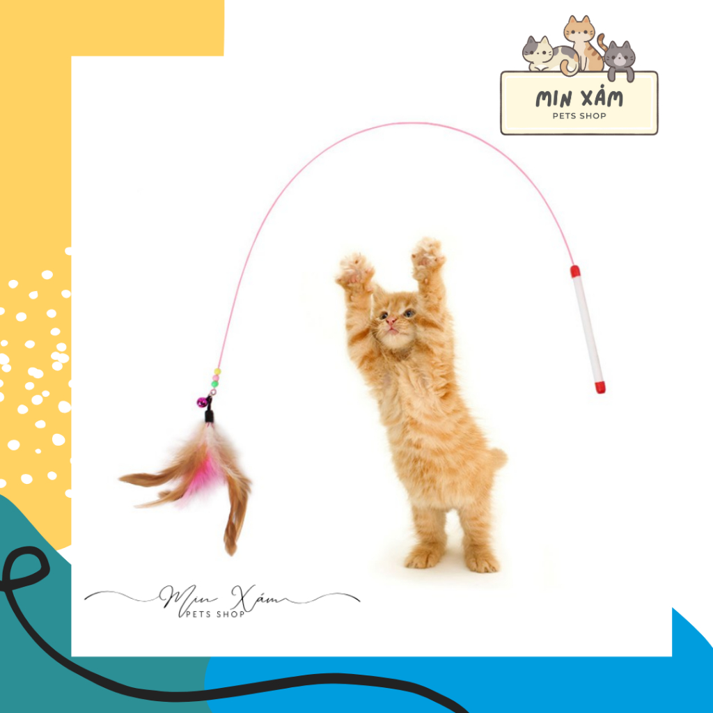 CẦN CÂU MÈO HÌNH LÔNG VŨ - ĐỒ CHƠI CHO MÉO