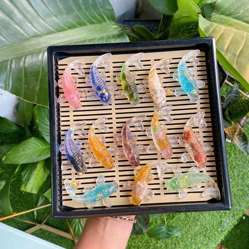 Cá Koi bát minh đường tụ thuỷ- trang trí bát nước , bàn thờ