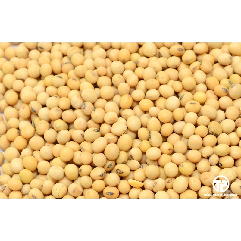 Sỉ lẻ 1Kg Hạt đậu nành sạch (Đậu tương/ đỗ tương) nấu sữa hạt, làm tào phớ, đậu phụ