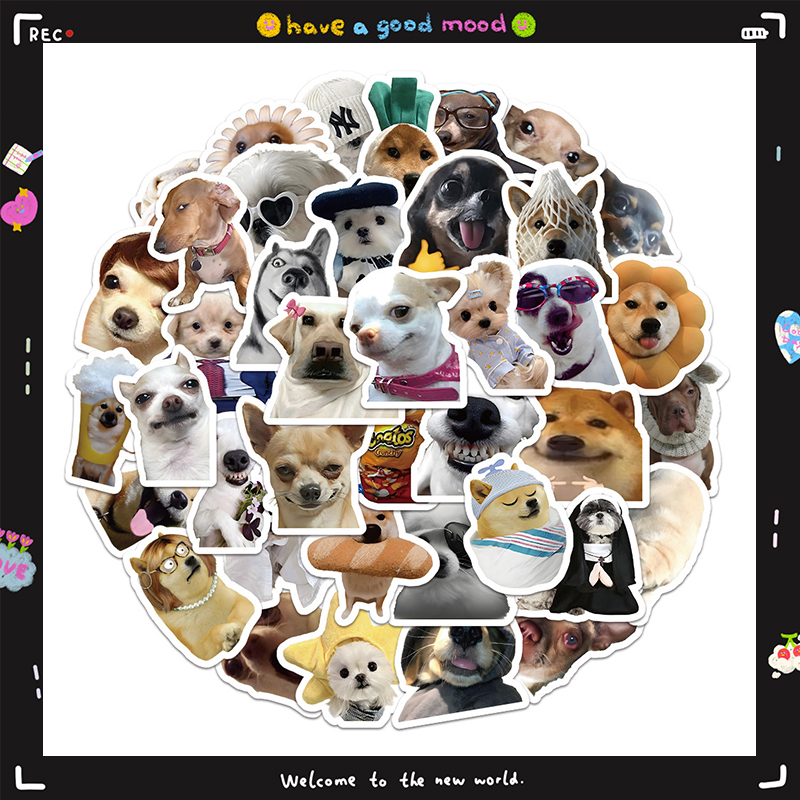 💜Set 60 Sticker Dán Laptop, Điện Thoại, Ván Trượt, Ván Trượt Hình Doge Mèo  Vui Nhộn