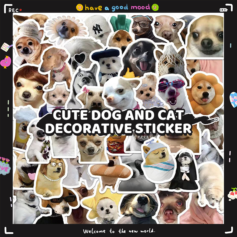 💜Set 60 Sticker Dán Laptop, Điện Thoại, Ván Trượt, Ván Trượt Hình Doge Mèo  Vui Nhộn