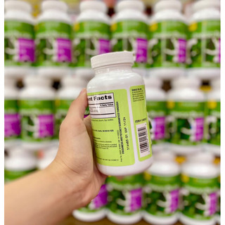 Ginkgo Biloba