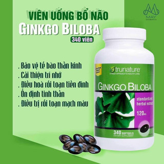 Ginkgo Biloba