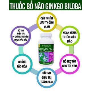 Ginkgo Biloba