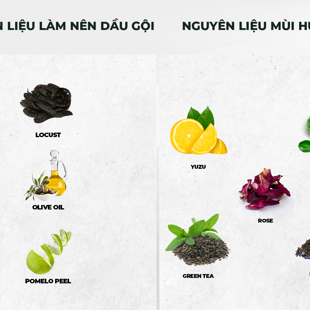 Dầu Gội Hương Nước Hoa Cho Nam, Dầu Gội Essentials Dưỡng Ẩm Gents Bay