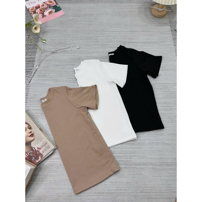 [ Rẻ vô địch ] Áo thun gân trơn form vừa hàng xuất dư  siêu đẹp