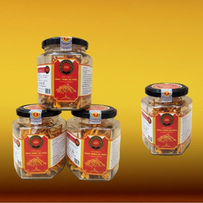 (Combo Mua 3+1) Đông Trùng Hạ Thảo Viện Hàn Lâm KH&CN Việt Nam Sấy Thăng Hoa, Lọ 15gr
