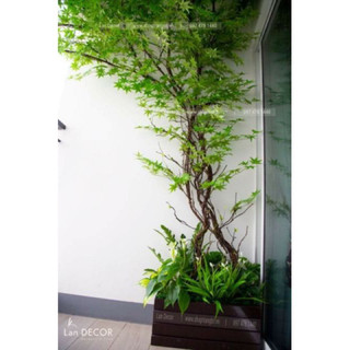 dây lá lõi thép dài 2m hoa lụa- hoa giả