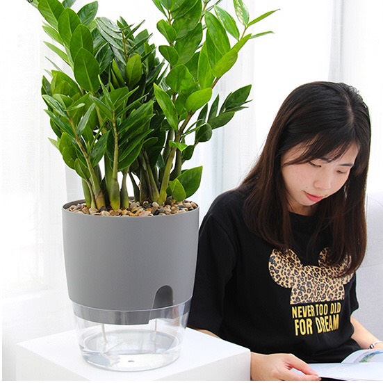 Chậu cây để bàn Oliz-A709.Chậu cây thông minh tự tưới nước cho cây