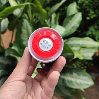 Còi hú 220v, còi báo động kêu to
