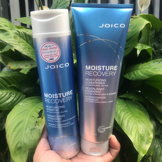 Cặp dầu gội xả JOICO Moisture recovery dưỡng ẩm rong biển 300ml/250ML *NEW*
