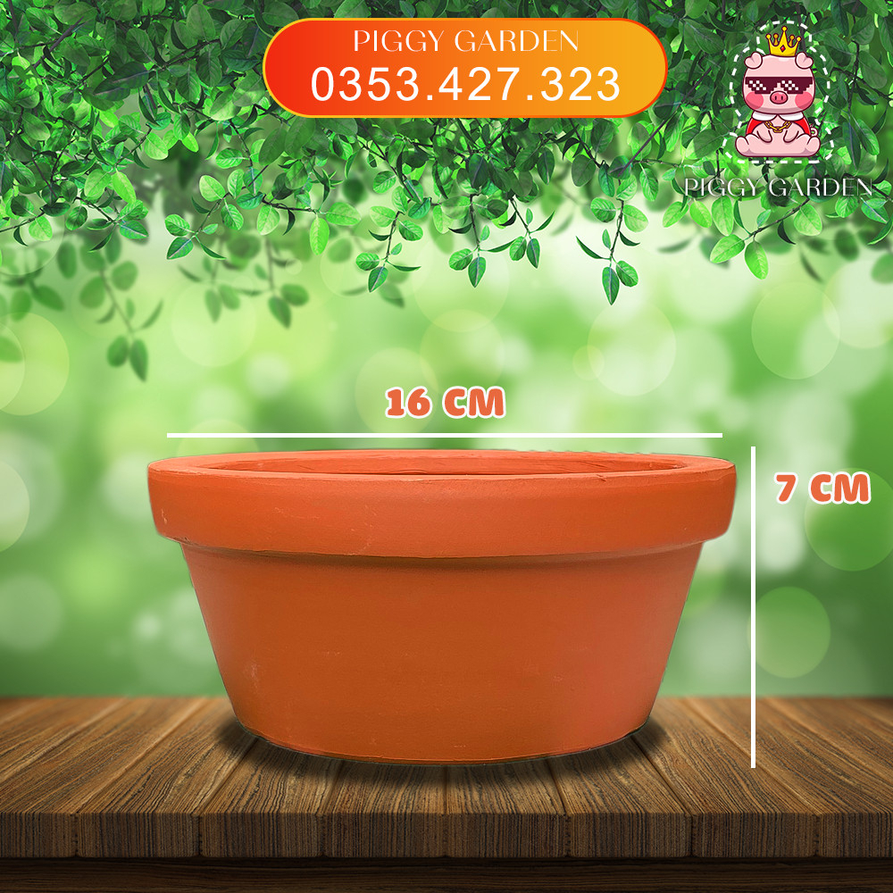 Chậu đất nung - Chậu trồng sen đá, xương rồng - Chậu thau trung miệng 16cm, cao 7cm