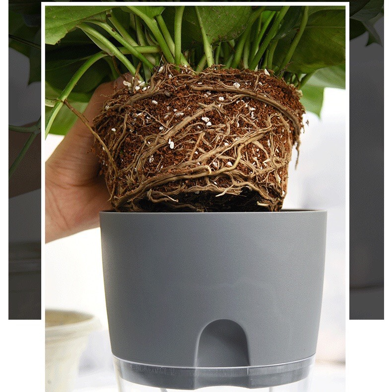 Chậu cây để bàn Oliz-A709.Chậu cây thông minh tự tưới nước cho cây