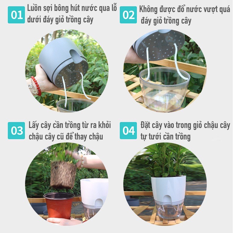 Chậu cây để bàn Oliz-A709.Chậu cây thông minh tự tưới nước cho cây
