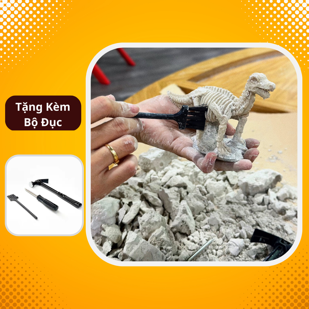 Đồ Chơi Khảo Cổ Khai Quật Hóa Thạch Xương Khủng Long Cổ Đại Tặng Kèm Bộ Đục 3 Món ( Khủng Long Ngẫu Nhiên )