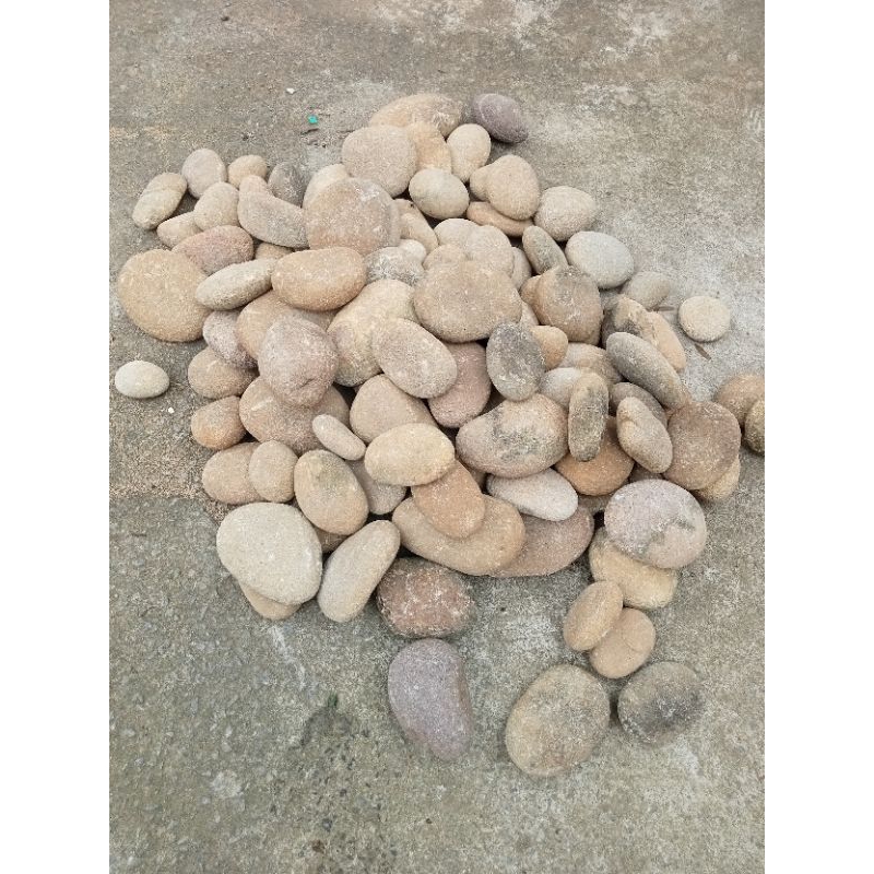 Đá kì tắm tự nhiên, đá kì tẩy tế bào chết  chọn lọc