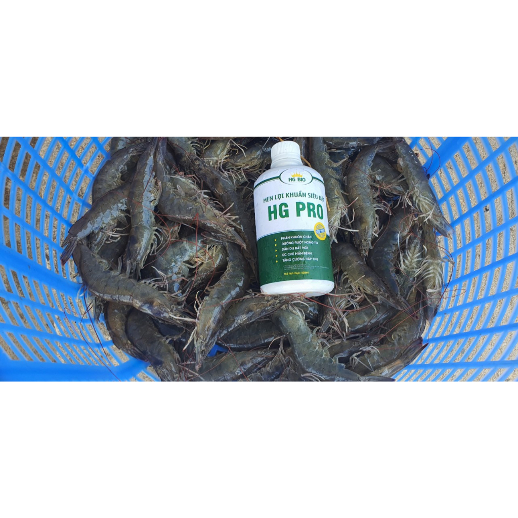 Men lợi khuẩn đường ruột siêu đặc HG PRO - hỗ trợ tiêu hóa cho tôm cá, thủy sản