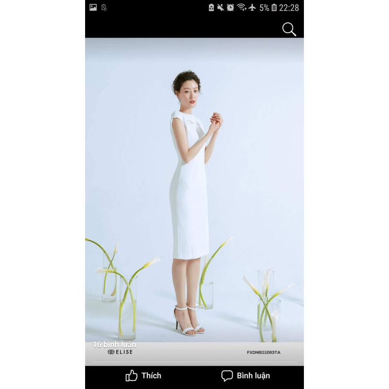 pass đầm Elise size S và M