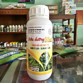 Siêu Dưỡng Mai dưỡng lá xanh dày chai 500ml