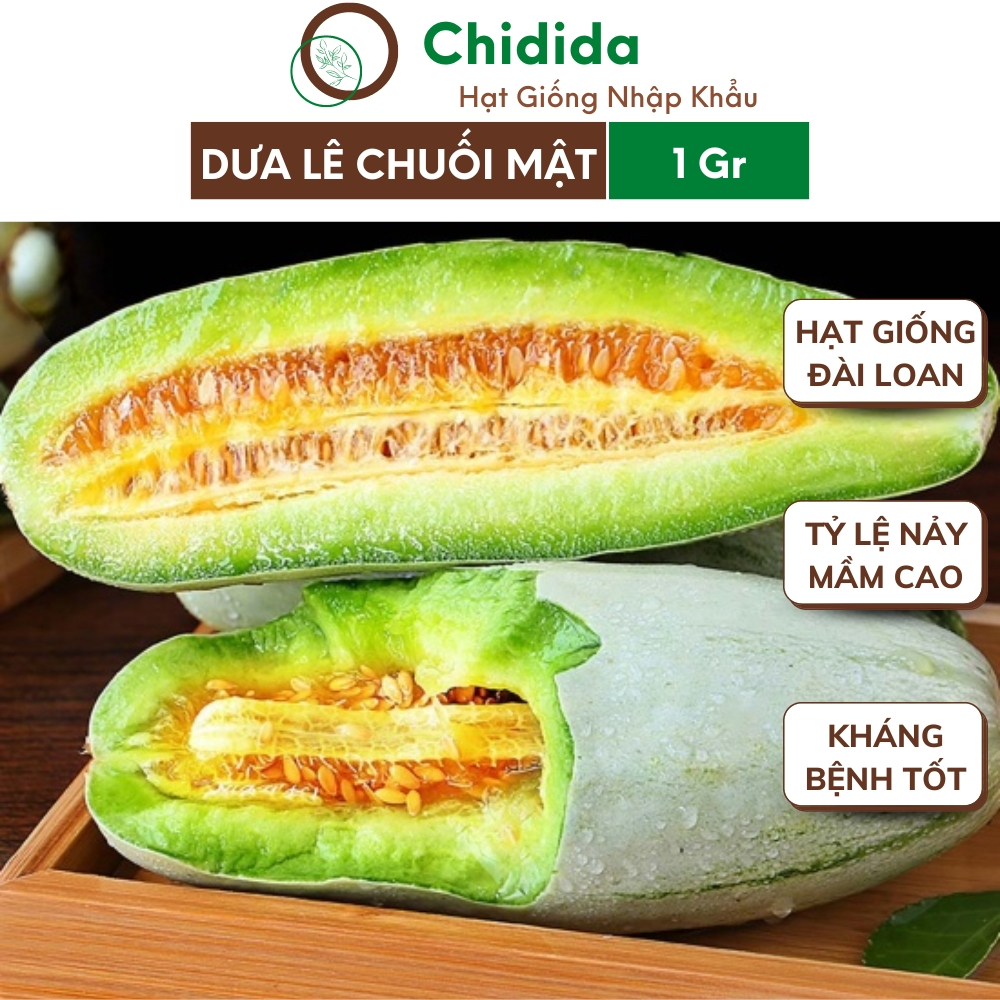 Hạt giống dưa lê chuối mật Chidida giống dưa lê quả dài Đài Loan gói 1gr siêu ngọt chịu nhiệt kháng bệnh tốt