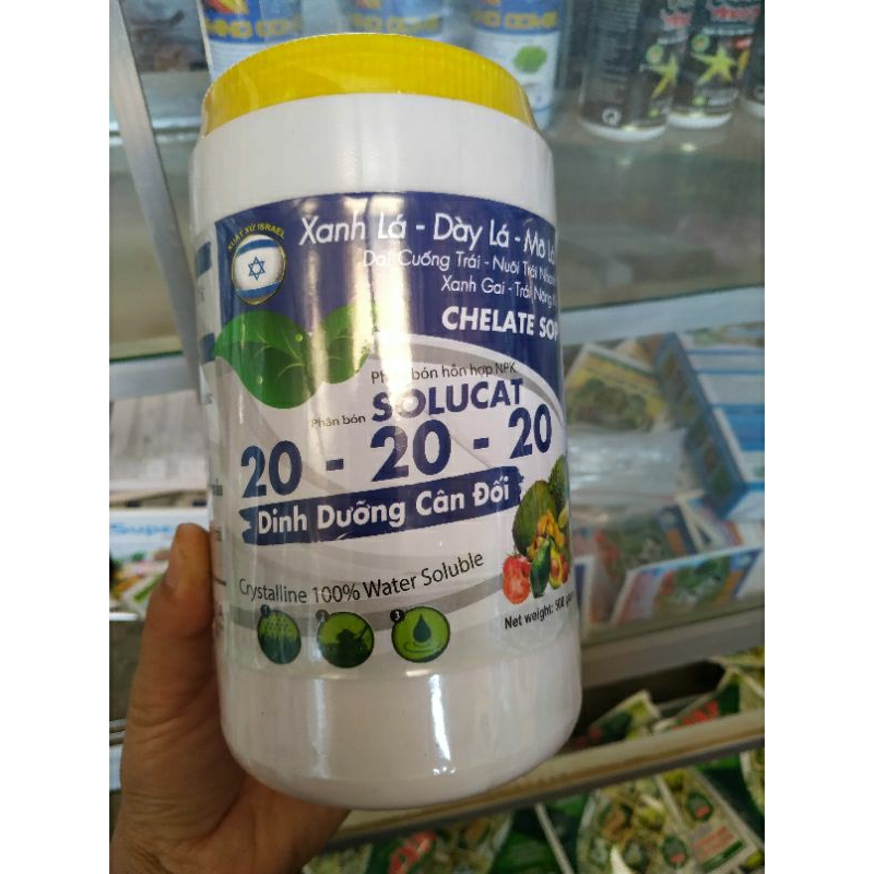 NPK 20-20-20. NK israel. Xanh lá, dày lá, mở lá, lớn trái, tròn trái, xanh gai, dai cuống