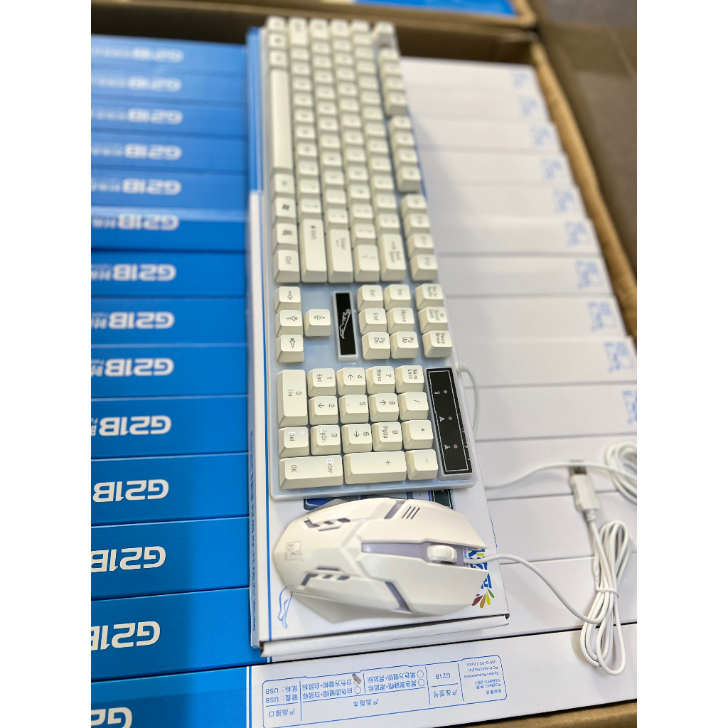 Combo Bàn Phím Chuột G21B Giả Cơ Chuyên Game Led