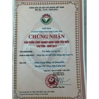 TRÀ DIẾP CÁ LỤA VY – THANH NHIỆT, GIẢI ĐỘC, MÁT GAN! ( Trà túi lọc 35 gói)
