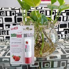 Son dưỡng khô nứt môi hương dâu màu đỏ mọng Sebamed pH5.5 Sensitive Skin Lip Defense Strawberry 4.8g