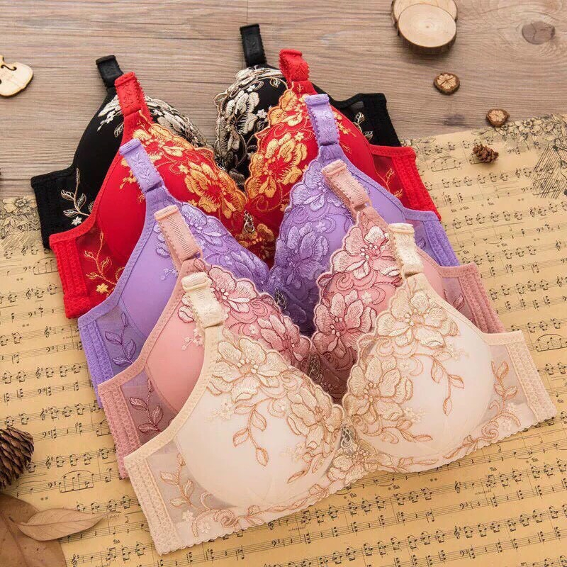 XẢ HÀNG Bộ 3 Áo Lót Cotton Đệm Mỏng Không Gọng Siêu Thoáng Mát Mùa Hè