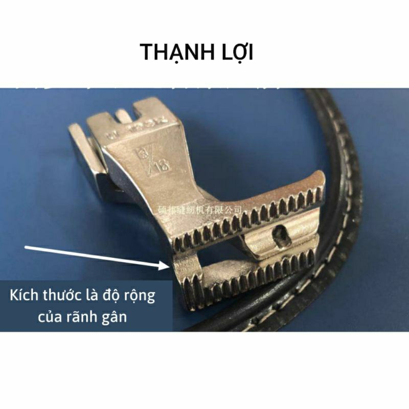 Chân Vịt May Gân Ráp Gân Máy Bước Máy Cào Bơi 340