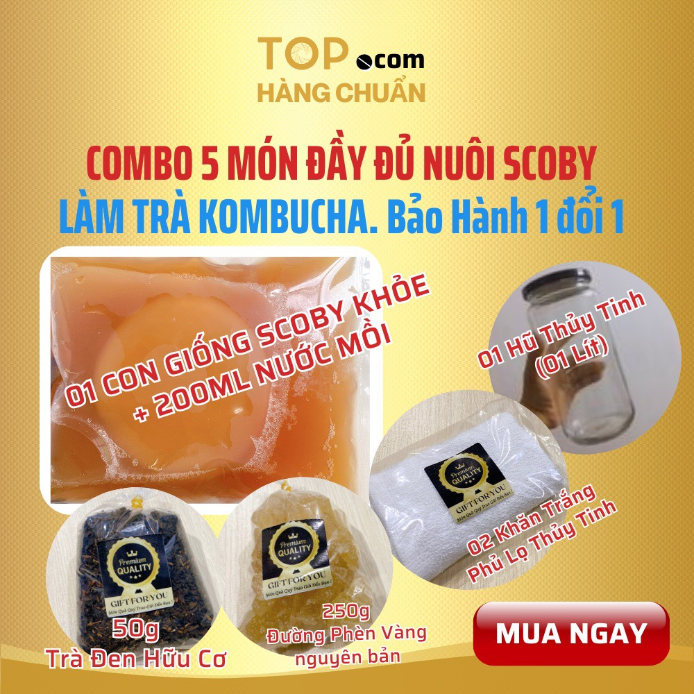Combo 5 món SCOBY Cực Khỏe + Nước mồi KOMBUCHGA 200ml LÀM TRÀ Lên Men Nhanh có hướng dẫn chi tiết cho người mới