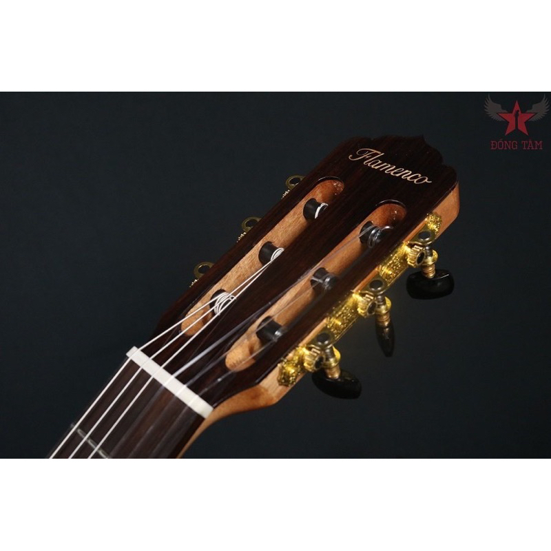 Guitar Flamenco Jx25