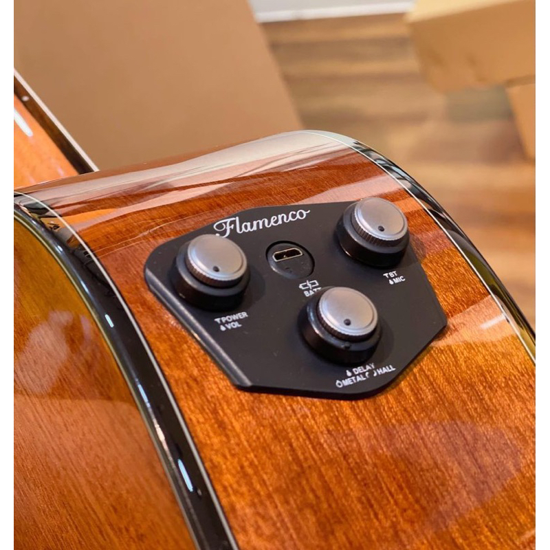 Guitar Flamenco Jx25