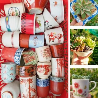 Combo 10 Ly, tách gốm Nhật Bản không quai