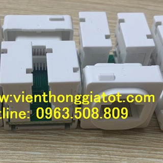 Nhân mạng âm tường sino cat6 rj45