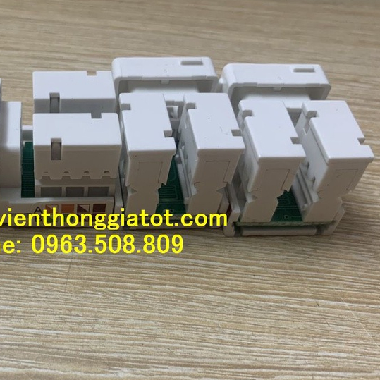 Nhân mạng âm tường Sino Cat6 RJ45